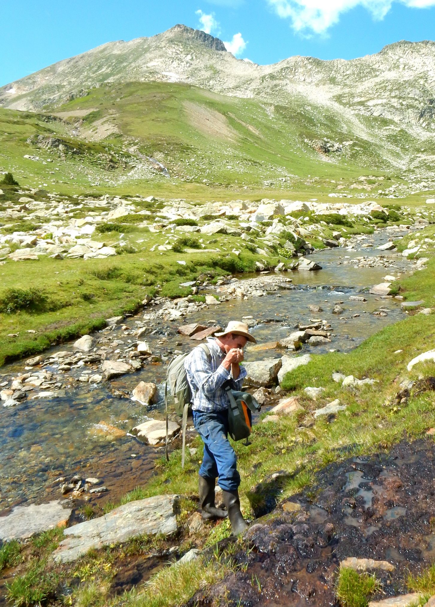 Description de l'image