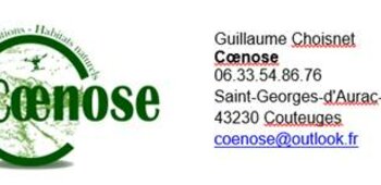 COENOSE